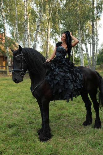 Black star1qd