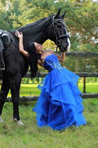 Blue star1wfwe